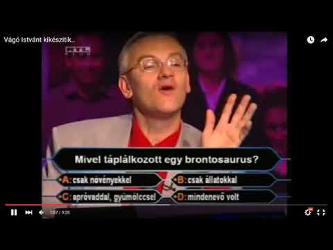 Vágó István bizonyít