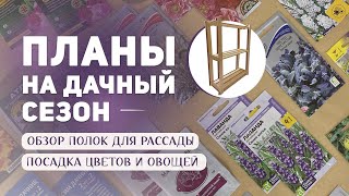 Планы на дачный сезон | Обзор полок для рассады из Озон и Фикс прайс | Посадка семян овощей и цветов