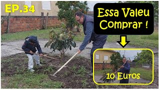 Começamos A Plantar As Frutas E Fazer Mais Canteiros, Ferramenta Nova Surpreendeu !