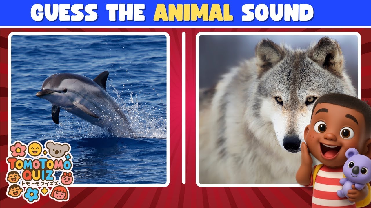 Quiz For Kids Eps. 2 | Learn About Animals | TomoTomo Quiz | Guessing Game for Kid