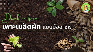 สอนเพราะเมล็ดผักงอก100% รวมเทคนิคมากมายในคลิปเดียว