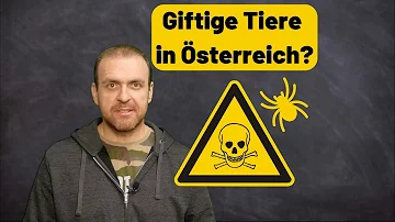 Welche Tiere sind in Österreich meldepflichtig?