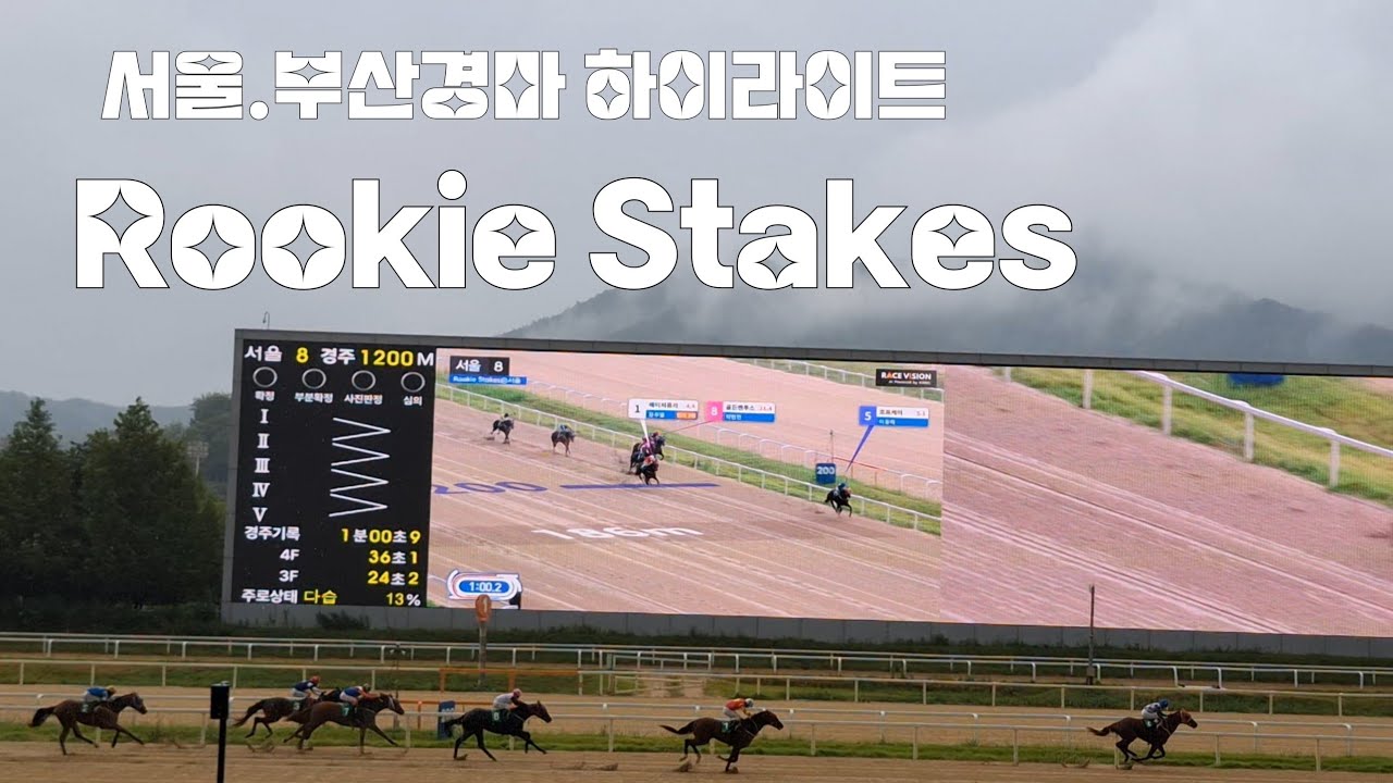천방지축 2세마를 어떻게 믿어!(서울.부산 경마  2세마 루키 스테이크) 