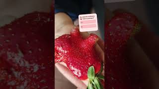 #shorts #nature #cranberries 🍓🍓