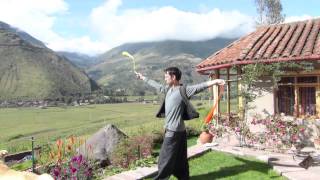 Poi Fu: Antispin & Extension Switchbacks