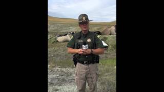 RAW VIDEO: Interview with MHP Sgt. Jay Nelson at the Highway 287 crash