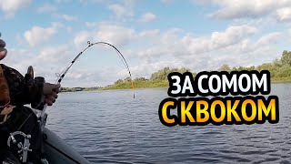 видео: РЫБАЛКА на СОМА С КВОКОМ. Крутые подсечки, эмоции и адреналин. Рыбалка в Беларуси. картинка: РЫБАЛКА на СОМА С КВОКОМ. Крутые подсечки, эмоции и адреналин. Рыбалка в Беларуси.