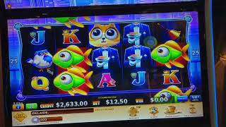 Fat Cat Fat Fortuntes - Where are all the fishes? Pokies Slots Casino 2023 screenshot 4