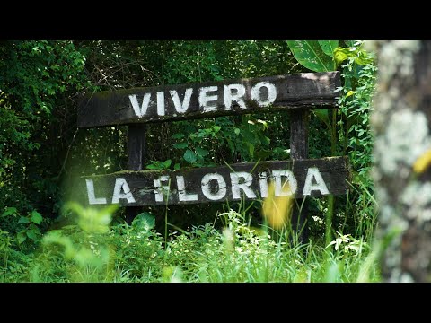 VIVERO PROVINCIAL LA FLORIDA VIVERO PROVINCIAL LA FLORIDA