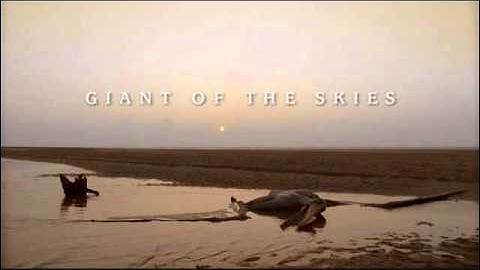 Benjamin Bartlett - Giant of the Skies