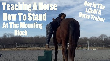 Day In The Life Of A Horse Trainer: Teach A Horse How To Stand When Mounting