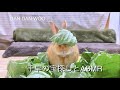 ちはやの宝探しとASMR 【チャップ・ダンダンウー】#asmr