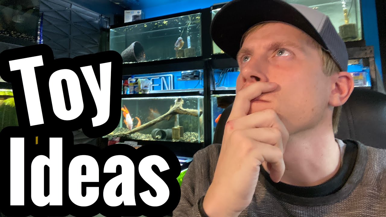 Toys for Pet Turtles? Best DIY Turtle Toys YouTube