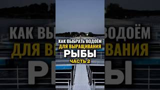 Как выбрать водоём для выращивания рыбы. Часть 2. #иваносетр #рыбалка #рыбоводство