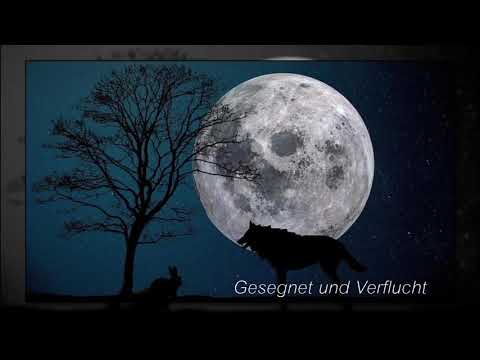 Nino de Angelo ~ Gesegnet und Verflucht