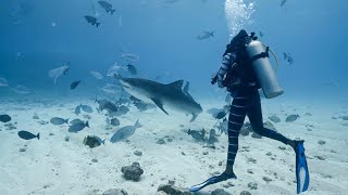 Too Wild Maldives (Ep 1: Sharks) #WWFVoices