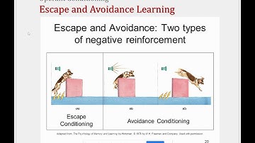 OC Escape and Avoidance Learning