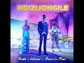 Ndizijongile (Extended Version) de Boohle, Villosoul & Bravo Le Roux