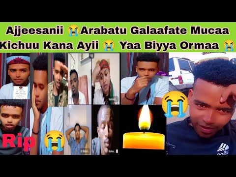 Ayii Jiruu Biyya Ormaa Mucaa Kichuu Kana Ajjeesanii Araabni