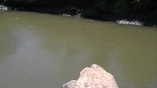 J-Hook Weir