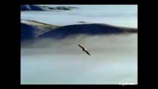 Freedom of Flight by Daydreamer 291 views 10 years ago 3 minutes, 32 seconds