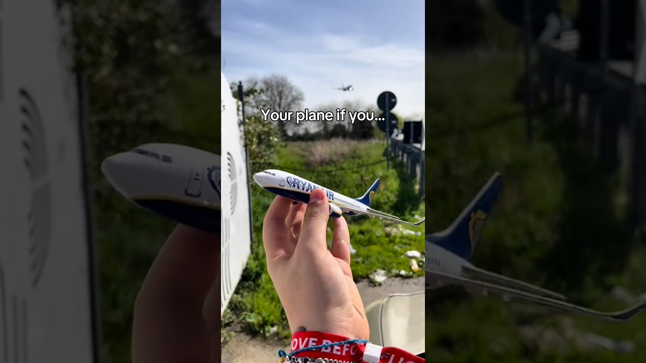 WHICH IS THE BEST? 👇 