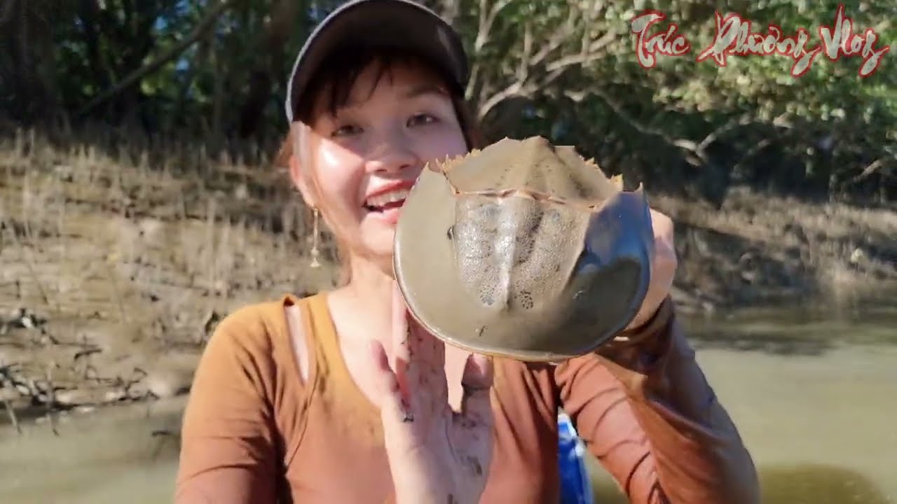 Bắt Hải Sản Độc Lạ Vùng Nước Mặn Bằng Tay Không | Trúc Phương Vlog - Girl Catching Seafood