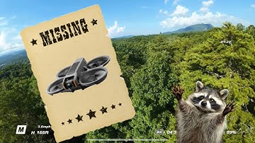 I Lost my Drone - DJI Avata 2