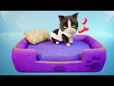 Видео: Have a  time with cute kitties【Kitten Match】ep31