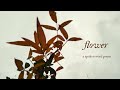 a poem on the illusion and transience of beauty // spoken word poetry ( Visual Poem )