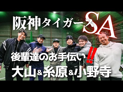 阪神タイガースSA初仕事!!後輩達のお手伝い!