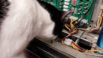 Gorgar: Lamp Matrix Tests.  Firepower: Why It Failed