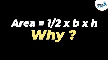 Why is the Area of a Triangle 1/2 X b X h? | One Minute Bites | Don