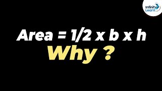 Why is the Area of a Triangle 1/2 X b X h? | One Minute Bites | Don't Memorise