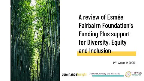 Diversity, equity and inclusion support webinar, 14 October 2025