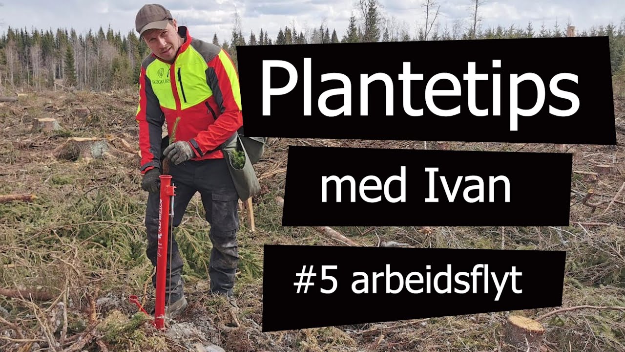 Plantetips # 5: Lær deg god og effektiv arbeidsflyt!