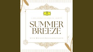 Brahms: Piano Concerto No. 2 in B-Flat Major, Op. 83 - III. Andante (Live at Musikverein,...