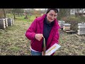 Bücherskorpion gefunden! - Jubiläumsausgabe - Live von Pias Bienenstand - 01.01.22