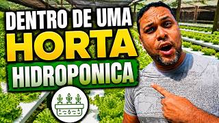 Do Plantio à Colheita: Dentro de uma Horta hidropônica