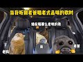 谁懂啊！老爸一开口就是老江湖了，这老歌品味绝了#半生遗憾半生梦  #猫meme#月光不归 thumbnail