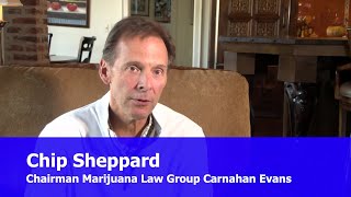 Marijuana advocate explains Amendment 3 changes