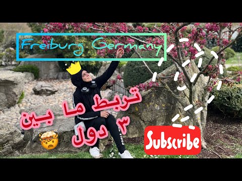   فرايبورغ مدينة الطلاب والطبيعة على حدود ٣ دول اوربية سهلة الوصول