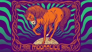 Moonalice @ Felton Music Hall in Felton, CA Net Worth