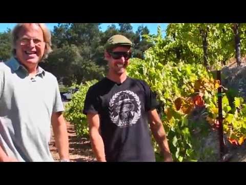 Video: Vineyard Bodinier