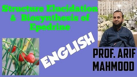 STRUCTURE ELUCIDATION OF EPHEDRINE (English language) BIOSYNTHESIS OF EPHEDRINE | Alkaloid SYNTHESIS