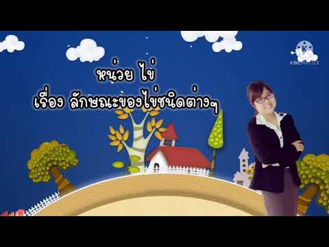 หน่วยไข่ เรื่องลักษณะของไข่ชนิดต่างๆ By Krumiint