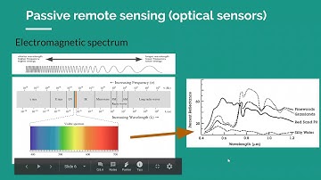 ENM2020 - W8T1 - Remote Sensing Data