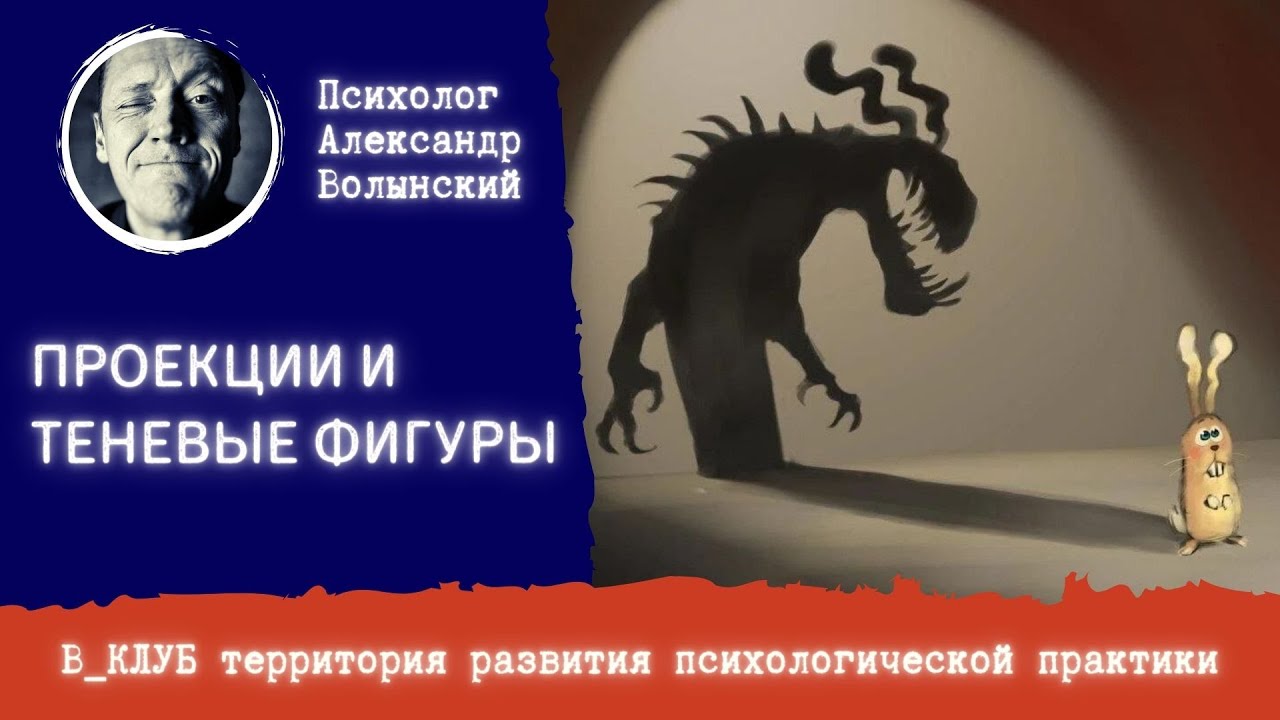 ПРОЕКЦИИ И ТЕНЕВЫЕ ФИГУРЫ ПСИХИКИ || Психолог Александр Волынский