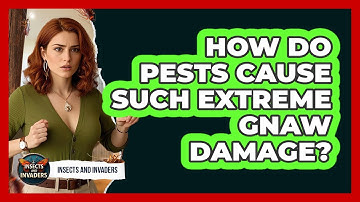 How Do Pests Cause Such Extreme Gnaw Damage? - Insects and Invaders