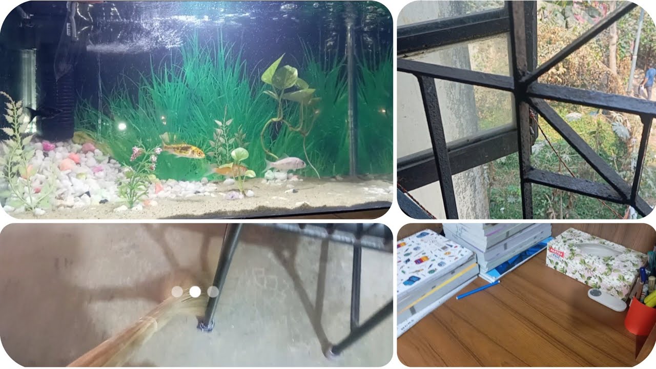 ভোট দিয়ে আবার কর্মব্যস্ত ঢাকার পথে।🌷🌷🌷